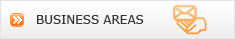 BUSINESS AREAS